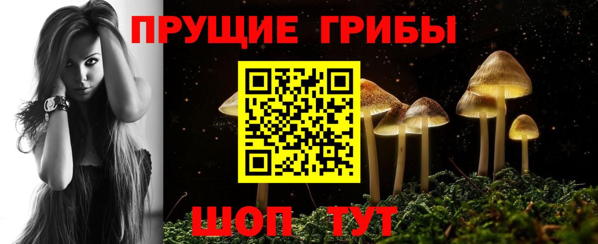 Мегион  Галлюциногенные грибы прущие грибы  Вход с VPN 